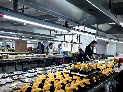 Daily craft factory