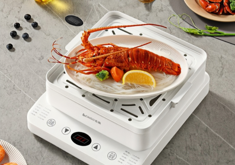 Multi functional electric steamer