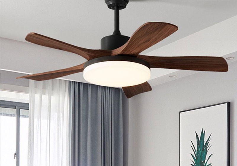 Ceiling fan light