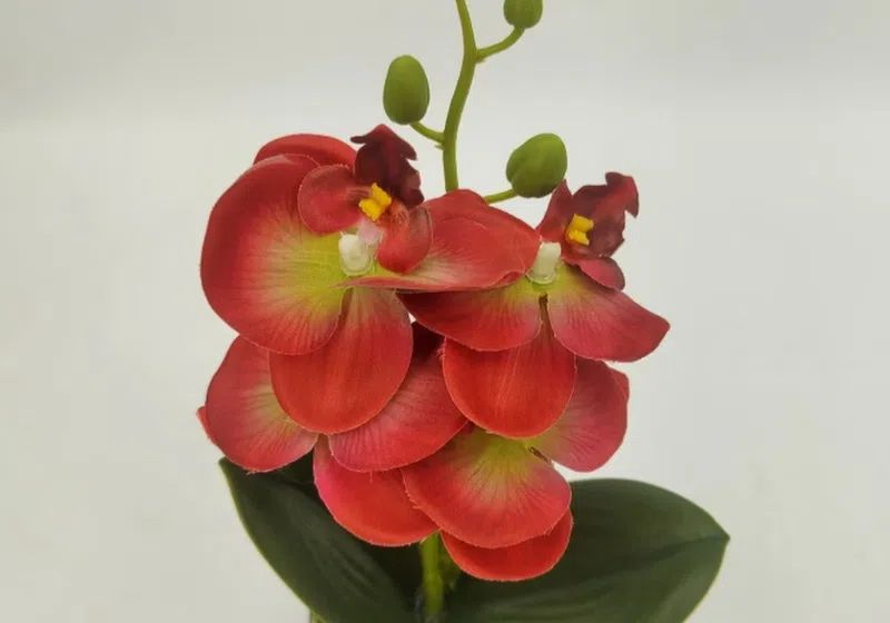 Mini Butterfly Orchid Simulation Flower