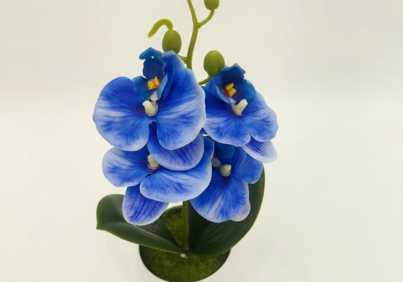 Mini Butterfly Orchid Simulation Flower