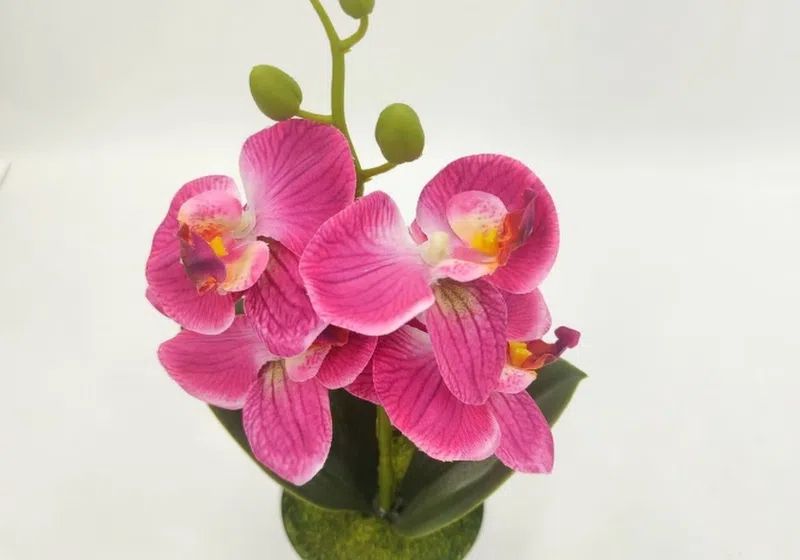Mini Butterfly Orchid Simulation Flower